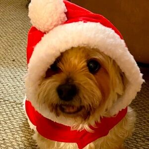 Meet your Posher, Palma